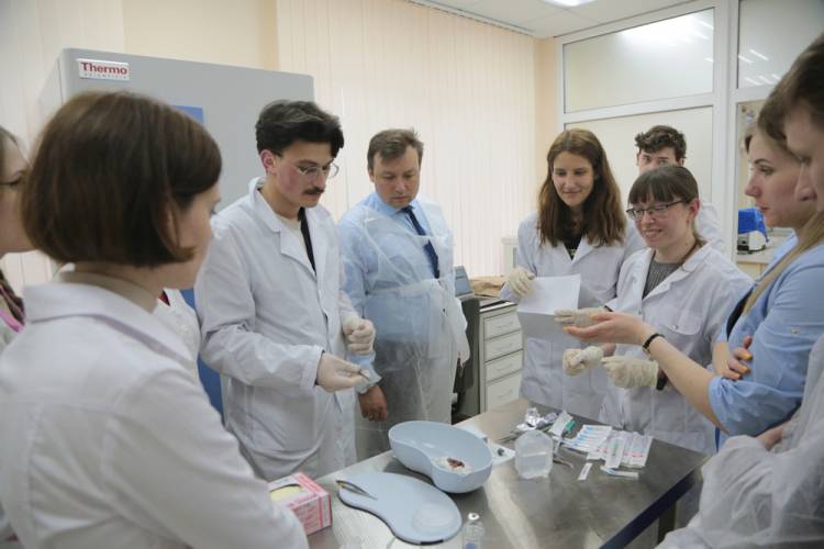 The Laboratory for Human Diseases Modelling and Gene Therapy has been established at Belgorod State University